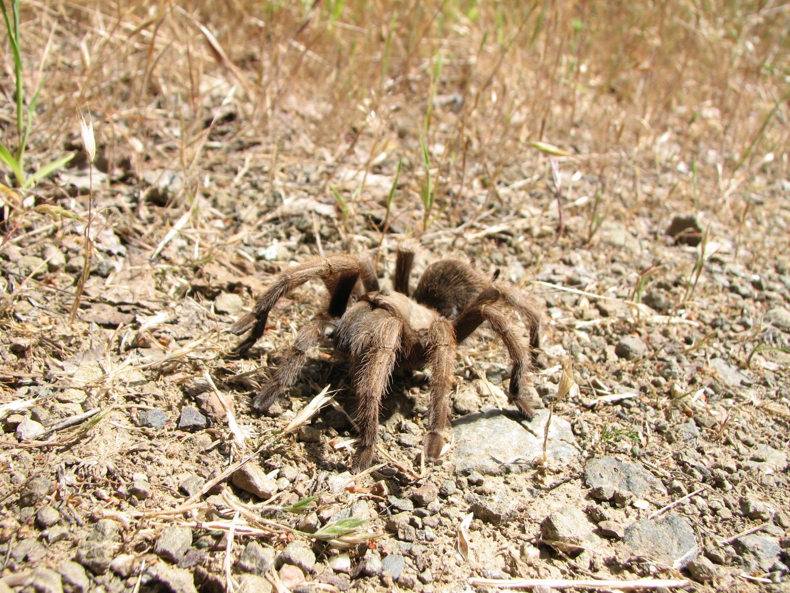 Hiking and Nature Photo