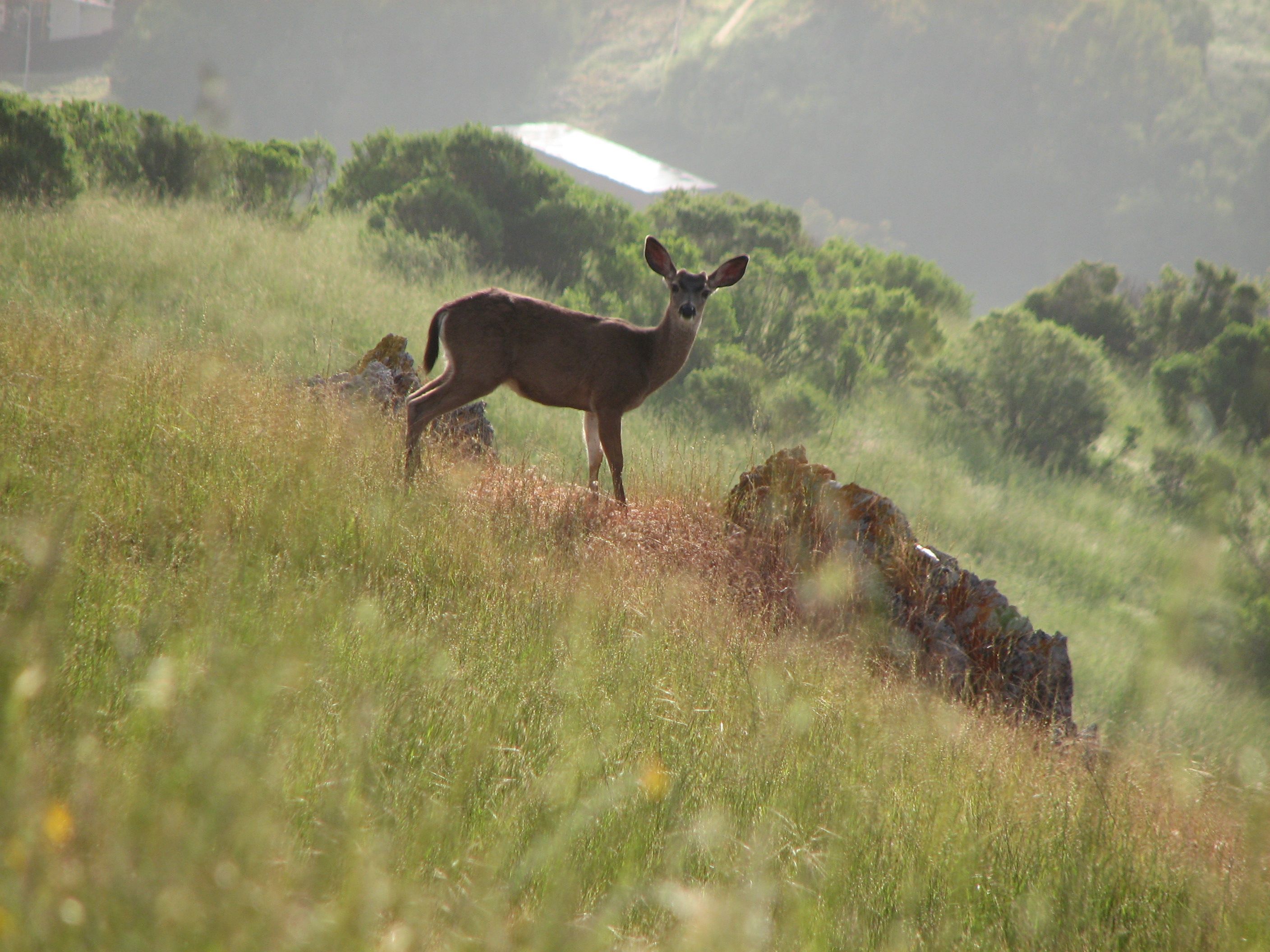 Hiking and Nature Photo