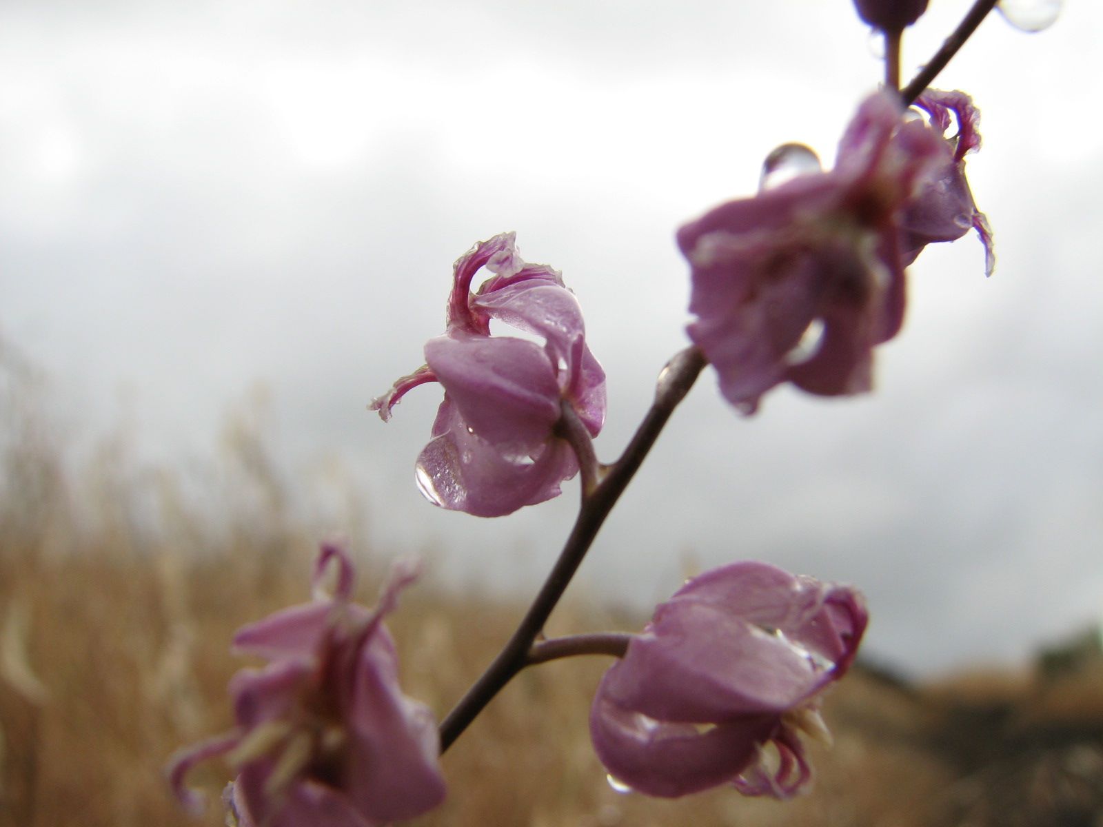 Hiking and Nature Photo