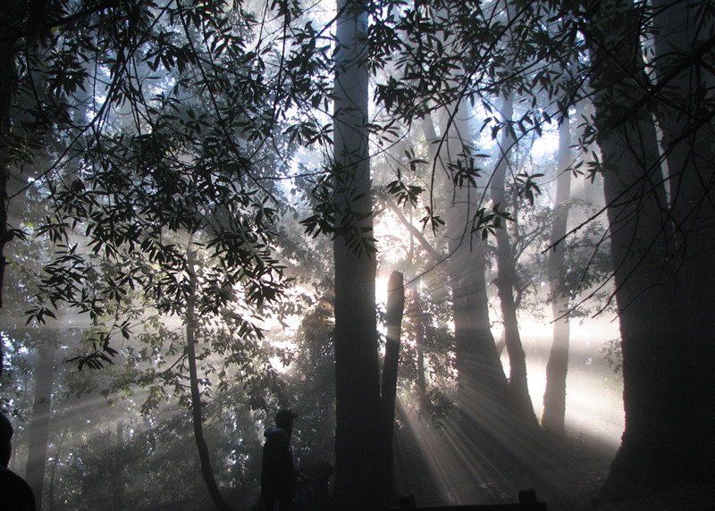 Hiking and Nature Photo