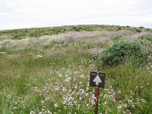 Hiking and Nature Photo