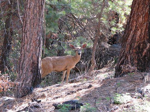 Hiking and Nature Photo