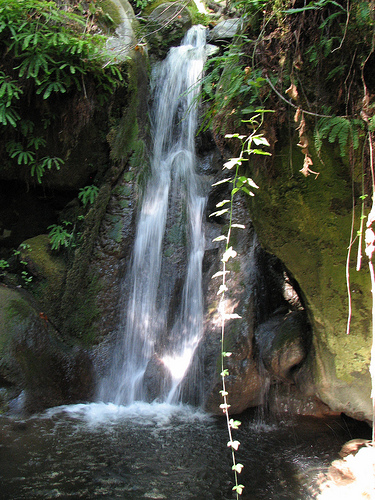 Waterfall Photo