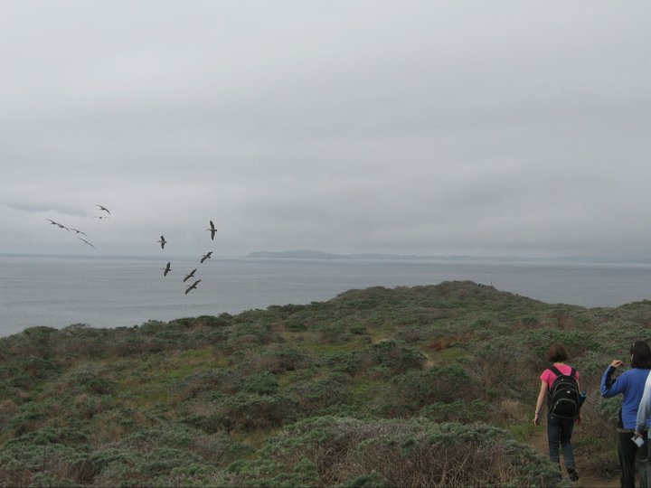 Group Hike