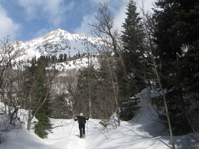 Snow Hiking