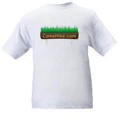 Gray t-shirt